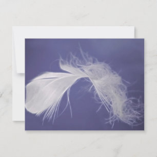 Carte Les plumes sont des symboles de spiritualité
