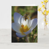 Carte Les premiers signes du printemps (Fleur jaune)