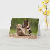 Carte Les Pupes de loup gris se déchaînent (Fleur jaune)