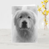 Carte Les Pyrénées (Fleur jaune)