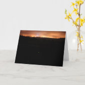 Carte Les reflets de nuit (Fleur jaune)