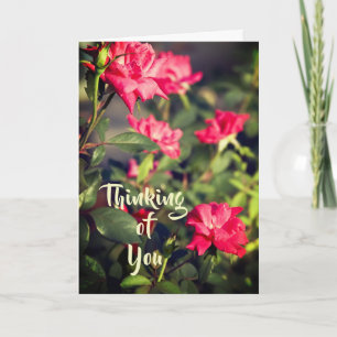 Carte Les Roses floraux pensent à vous