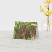 Carte Les séquoias au monument national de Muir Woods (Fleur jaune)