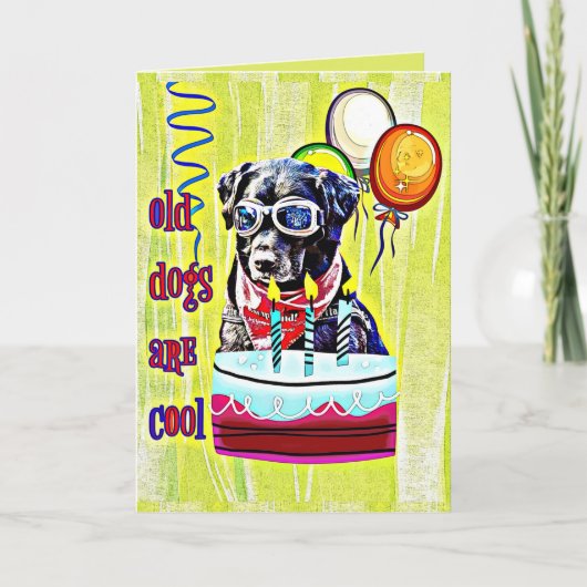 Carte Les vieux chiens sont Cool Joyeux anniversaire (Devant)