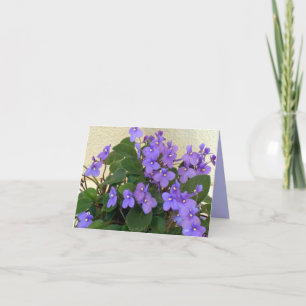 Carte Les violettes bleues les plus bleues