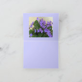 Carte Les violettes bleues les plus bleues (Intérieur)