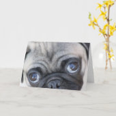 Carte Les yeux de Doobie (Fleur jaune)