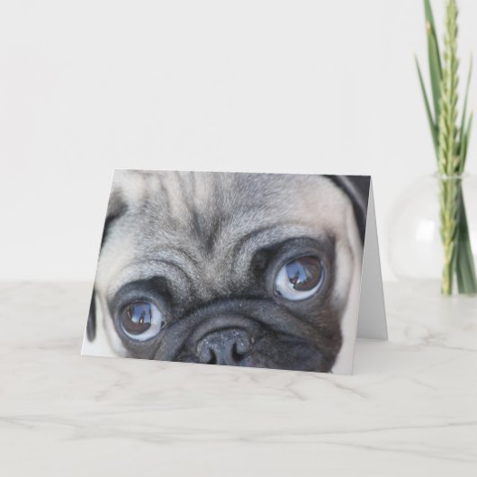 Carte Les yeux de Doobie (Devant)