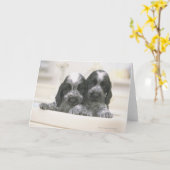 Carte L'Espagnol Cocker Anglais est une race de chien. I (Fleur jaune)