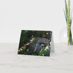 Carte Leugauge Spider Orb Web 2 Note Card