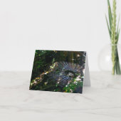 Carte Leugauge Spider Orb Web 2 Note Card (Devant)