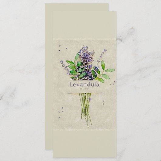 Carte Levandula spica l (Devant / Derrière)