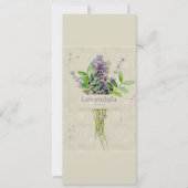 Carte Levandula spica l (Devant)