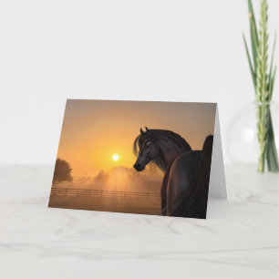 Carte Levée de soleil du cheval arabe