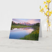 Carte Lever de soleil d'atterrissage de Schwabacher (Fleur jaune)