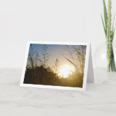 Carte Lever du matin à travers l'herbe de campagne (Devant)