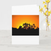 Carte Lever du soleil (Fleur jaune)