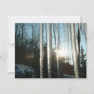 Carte Lever du soleil à travers Icicles hiver Photograph
