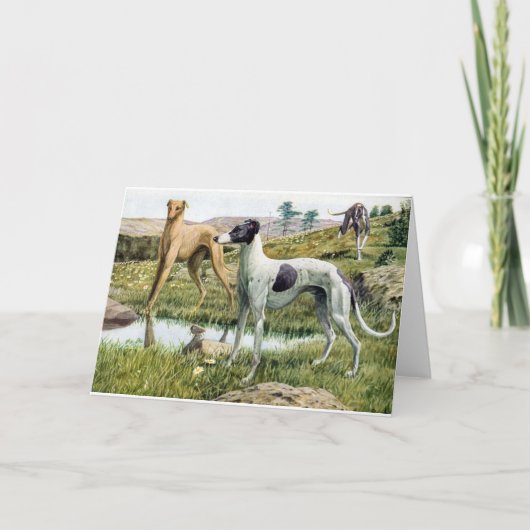 Carte Lévrier (Devant)