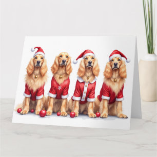 Carte Lévrier Afghan Noël Robe Chapeau de Père Noël
