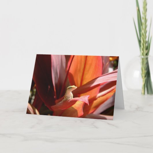 Carte Lézard de Kauai (Devant)