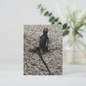 Carte Lézard noir (Debout devant)