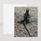 Carte Lézard noir (Devant / Derrière)