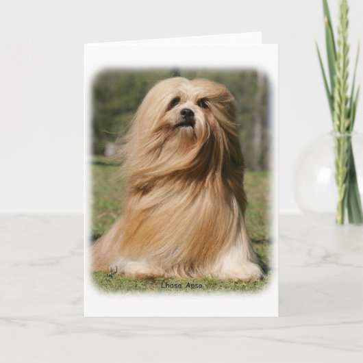Carte Lhasa Apso 9Y394D-104 (Devant)