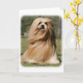 Carte Lhasa Apso 9Y394D-104 (Fleur jaune)