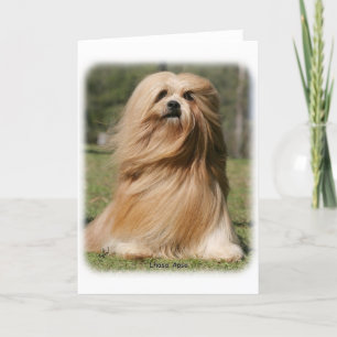 Carte Lhasa Apso 9Y394D-104
