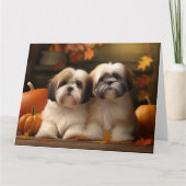 Carte Lhasa Apso chiots automne délice citrouille  (Devant)