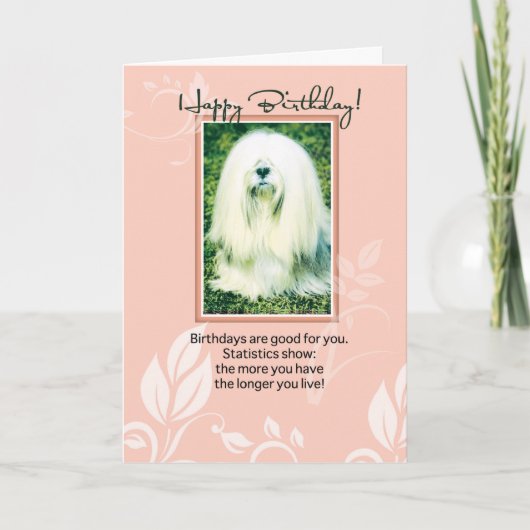 Carte Lhassa Apso Chien Anniversaire Humoristique (Devant)
