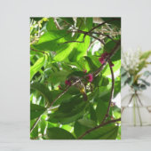 Carte L'heure du déjeuner à l'arbre (Debout devant)