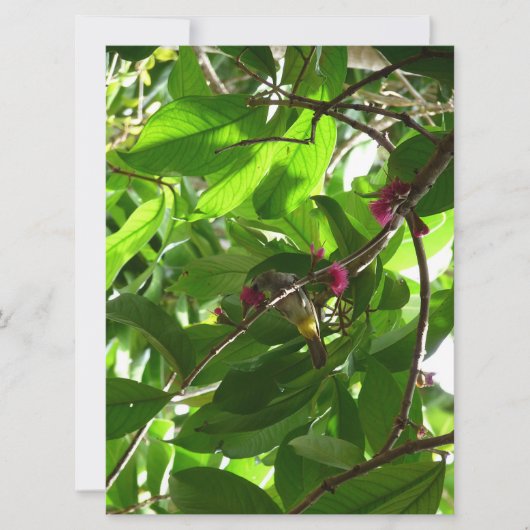 Carte L'heure du déjeuner à l'arbre (Devant)