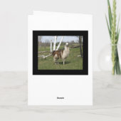 Carte L'HEUREUX salut LAMA (Dos)