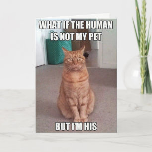 Carte L'humain n'est pas mon animal de compagnie