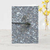 Carte Libellule (Fleur jaune)