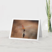 Carte libellule à ailes orange (Devant)