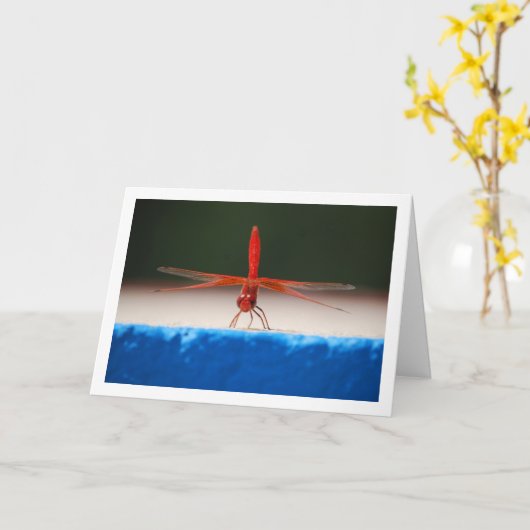 Carte Libellule à ailes orange (Fleur jaune)