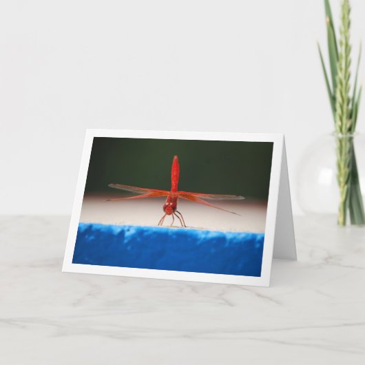 Carte Libellule à ailes orange (Devant)