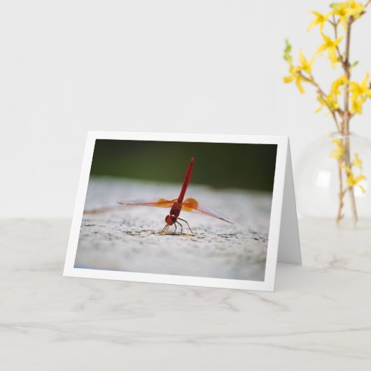 Carte libellule à ailes orange (Fleur jaune)