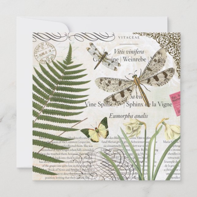 Carte libellule française vintage (Devant)