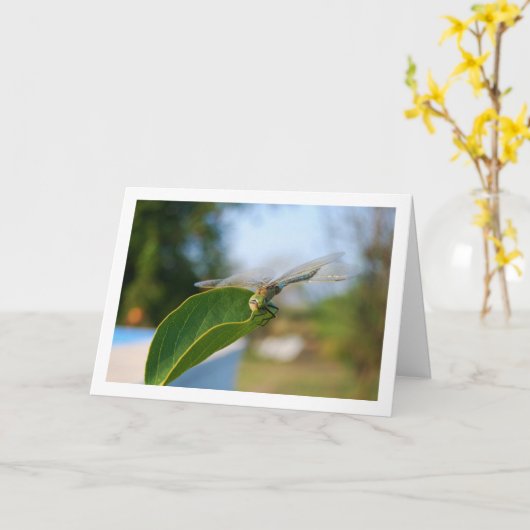 Carte Libellule sur feuille verte (Fleur jaune)