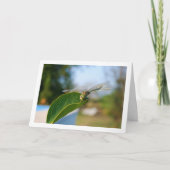 Carte Libellule sur feuille verte (Devant)
