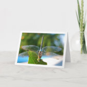 Carte Libellule sur feuille verte (Devant)