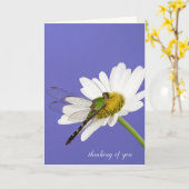 Carte libellule sur la marguerite blanche (Fleur jaune)