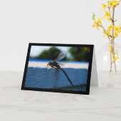 Carte Libellule sur le rebord (Fleur jaune)