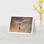 Carte Libellule Trithemis kirbyi (Fleur jaune)