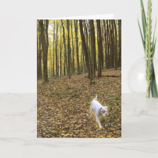 Carte Libre à exécuter (Devant)