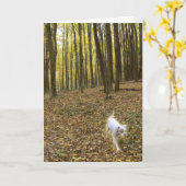 Carte Libre à exécuter (Fleur jaune)